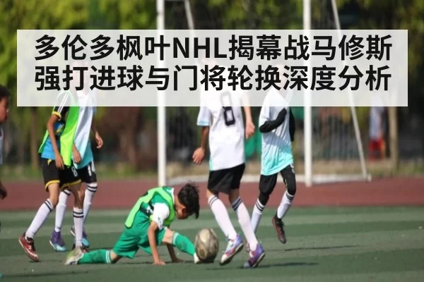 多伦多枫叶NHL揭幕战马修斯强打进球与门将轮换深度分析